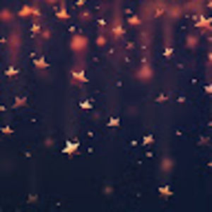 Meet your Posher, Priscilla